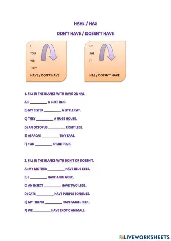 Have - Has - Don't have - Doesn't have