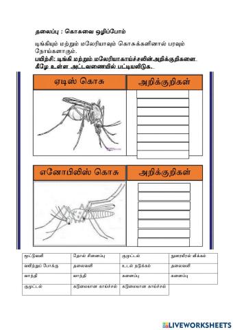 டிங்கி மற்றும் மலேரியா கொசுக்களில் பரவும் நோய்கள்
