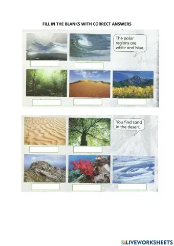 Supermind Y2(habitat)