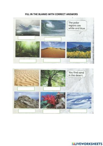 Supermind Y2(habitat)