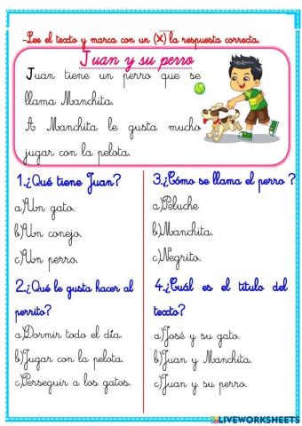 Comprensión lectora