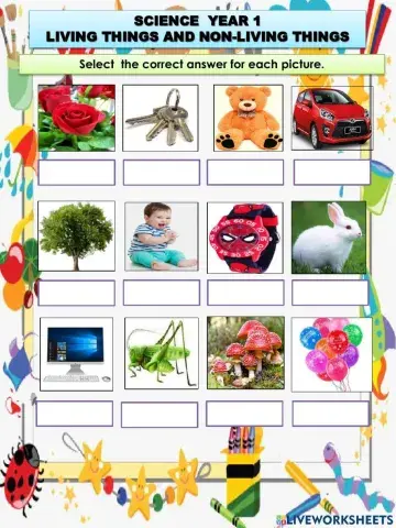 Living Things and Non-living Things