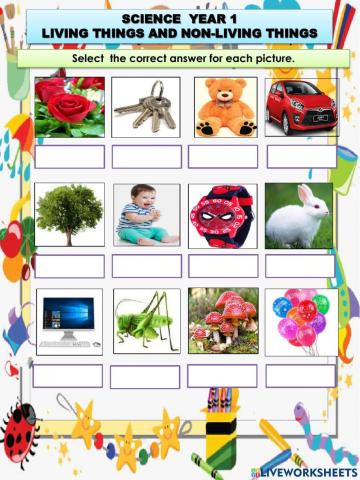 Living Things and Non-living Things