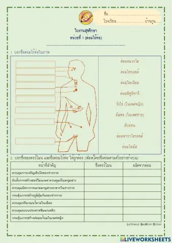 สุขศึกษา ม.1
