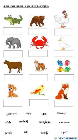 சரியான விடையைத் தேர்ந்தெடுக.