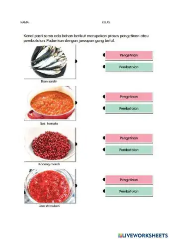 Pendidikan sain sosial alam sekitar