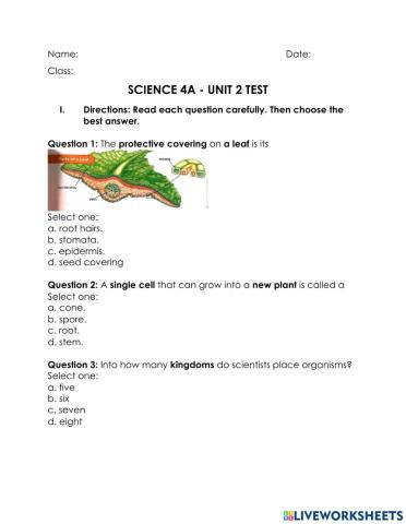 Science 4- Unit 2 Test