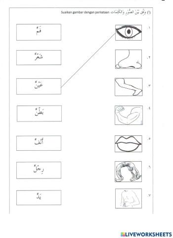 جسمي السليم