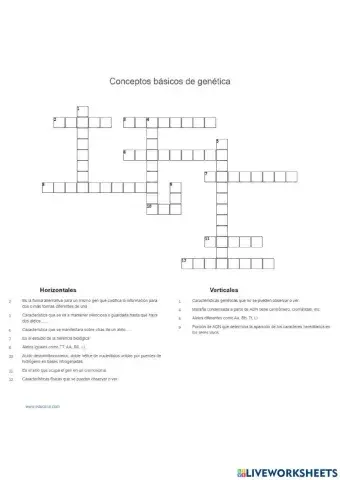 Conceptos básicos de genética