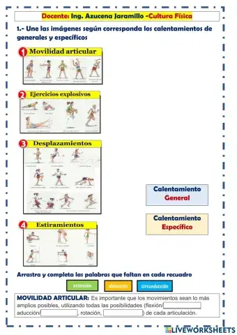 Educación Física- Movilidad articular