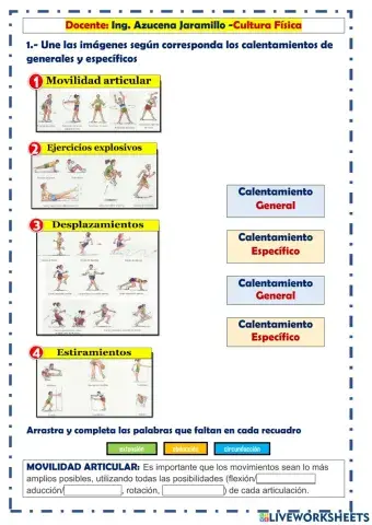 Educación Física- Movilidad articular
