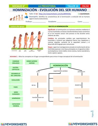 Evolucion del homínidos