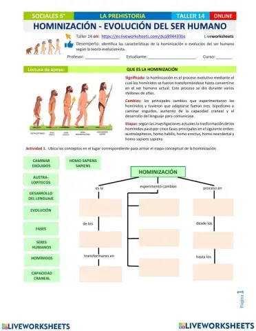 Evolución del hombre