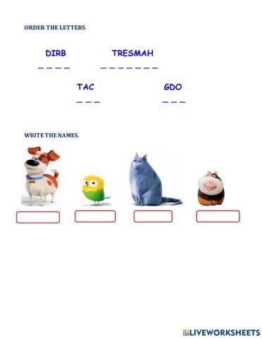 ACTIVITY 1  PRACTICA 3