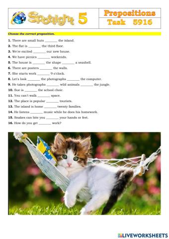 Spotlight 5 Task 5916