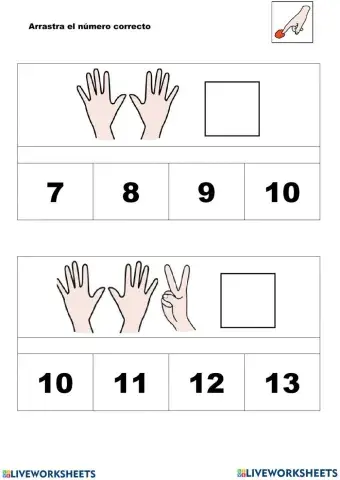 Los dedos de la mano para niños