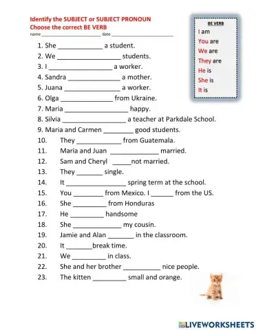Present Tense BE Verb Practice