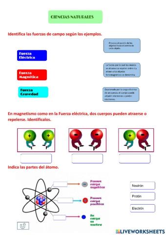 Fuerza de Campo: Gravedad, Eléctrico y Magnético