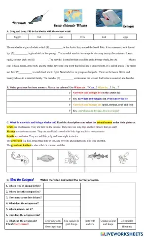 Project: Ocean- Whales and Octopus (2021)