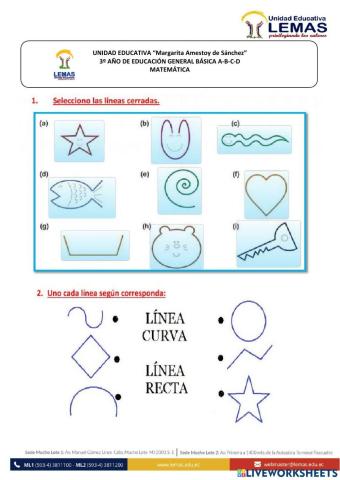 Tipos de lineas