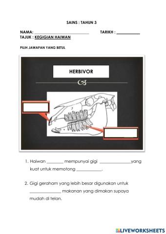 Kegigian Haiwan Tahun 3