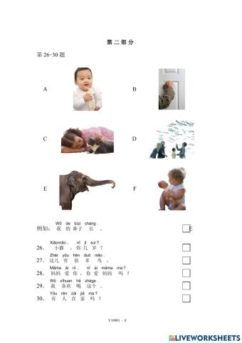 YCT1-Mock-Y10901-2-Share