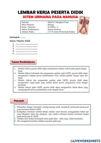 Lkpd 2