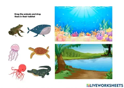 Animals And Their Habitat