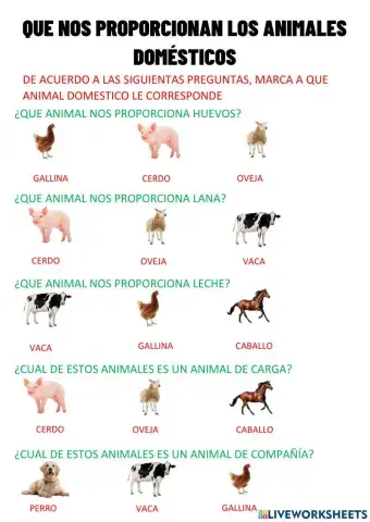 ¿Qué nos proporcionan los animales domésticos?