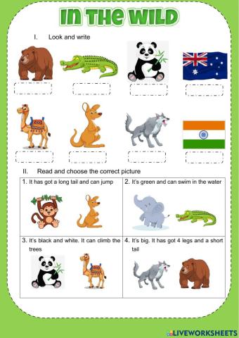 Academy stars 2 Unit 1 (1)