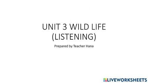 Unit 3: wild life Listening