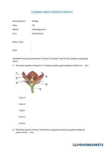 LKPD 9 Biologi 12
