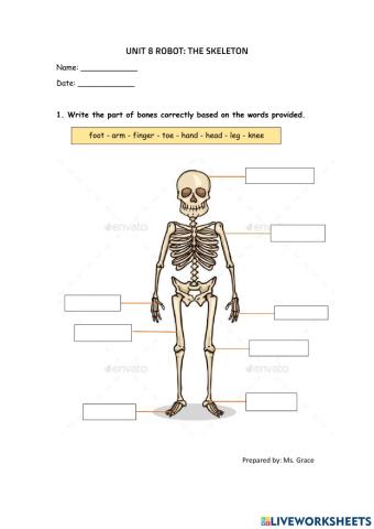Unit 8 The Robot: The Skeleton by Grace David Branch