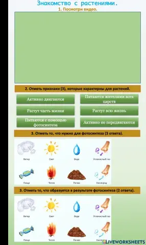 Окружающий мир. Растения