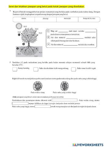 Ujian Formatif Subjektif Bahagian B