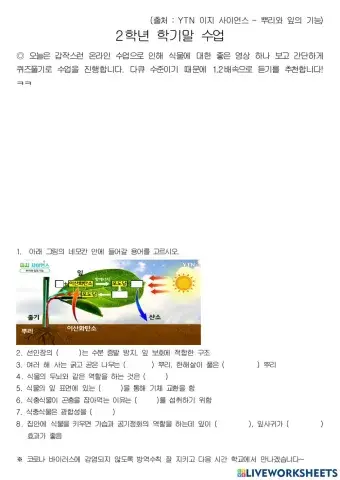 식물의 뿌리와 잎