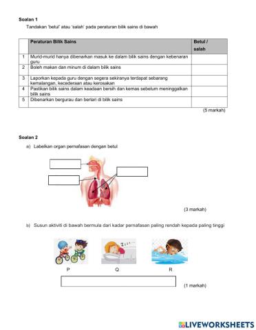 Sains Tahun 4 - Ulangkaji 1