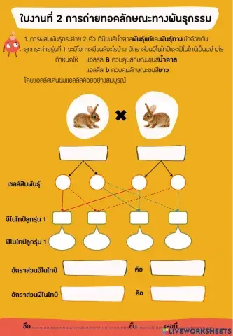 ใบงานที่ 2 การถ่ายทอดลักษณะทางพันธุกรรม