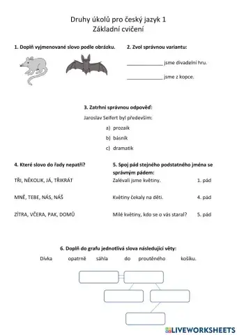 Druhy úkolů pro český jazyk 1