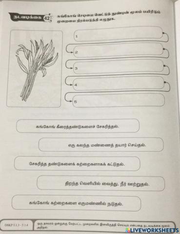 இனவிருத்தி முறை