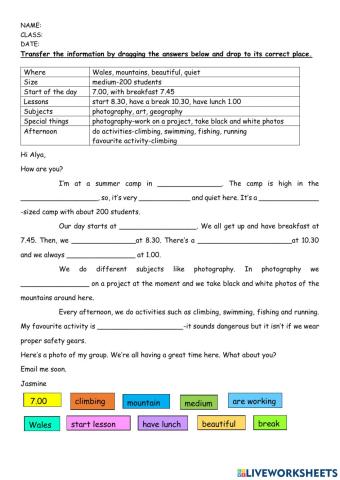 Information transfer: email writing