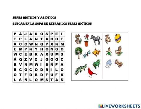 Seres Bióticos y Abióticos