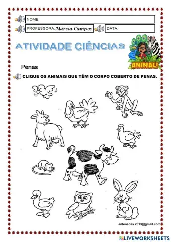 Animais