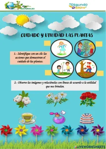 Cuidado y utilidad de las plantas