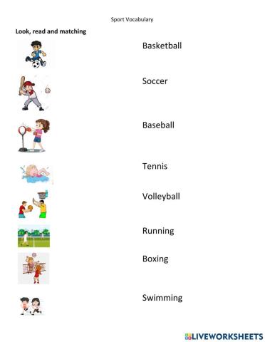 Sport vocabulary