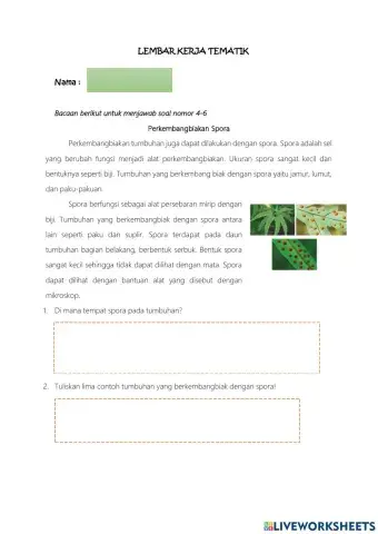 Latihan Pertumbuhan Tumbuhan