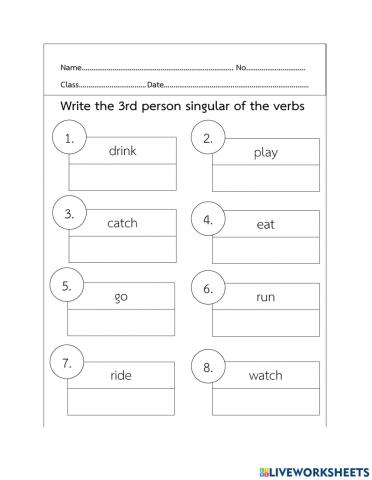 Present Simple Tense 2