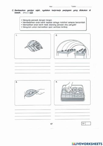 Teknologi Pertanian (Menjaga Tanaman Hidroponik)