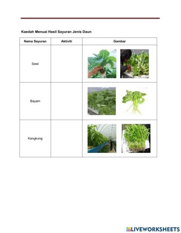 Kaedah Menuai Hasil Sayuran hidroponik