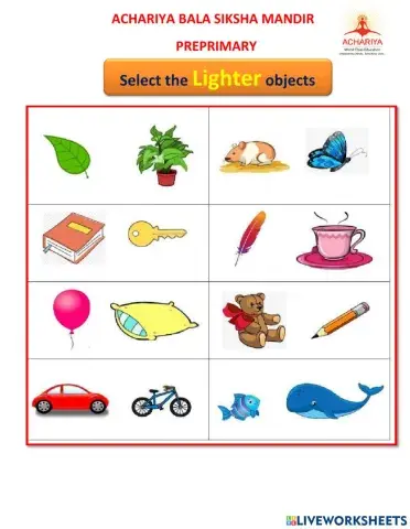 Select the suitable things